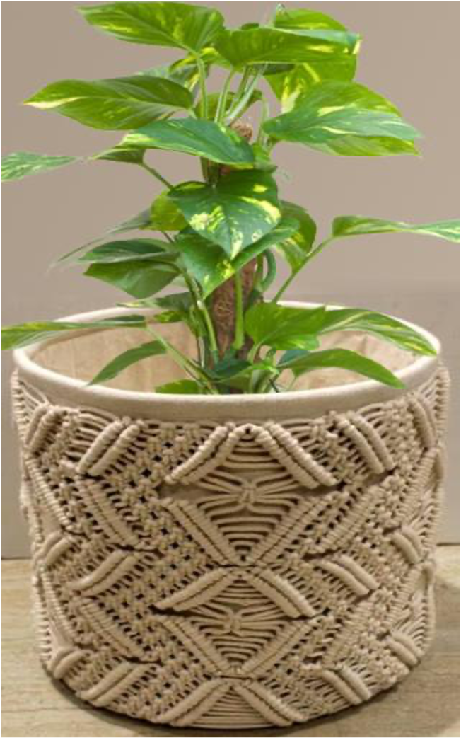 designersterracotta.com Product Picture