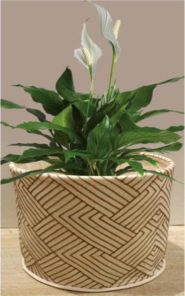 designersterracotta.com Product Picture